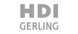 Versicherungs logo 29